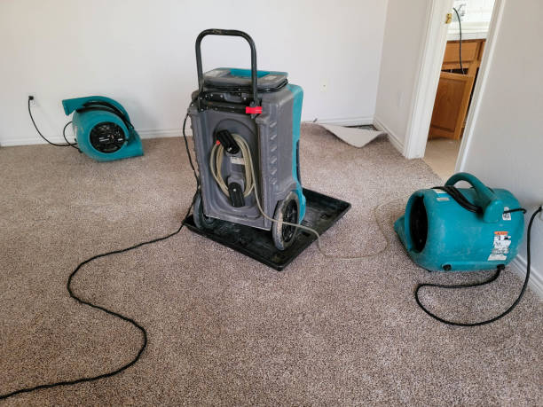 Best Commercial water damage restoration  in Menomonie, WI