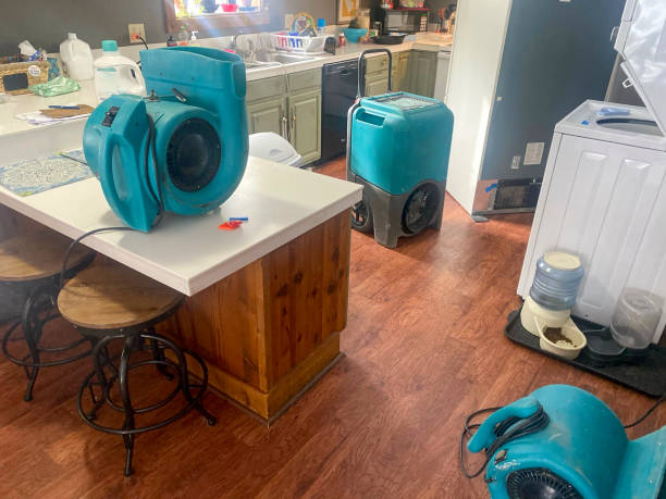 Best Water damage restoration near me  in Menomonie, WI