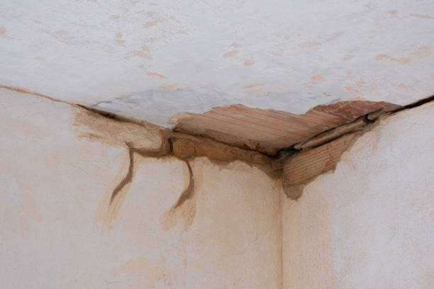 Best Water damage cleanup near me  in Menomonie, WI
