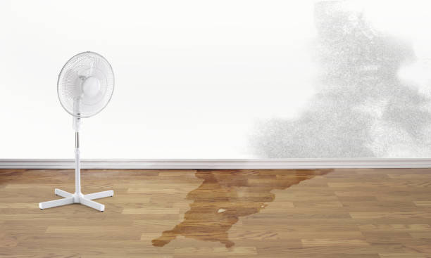 Best Water damage restoration process  in Menomonie, WI