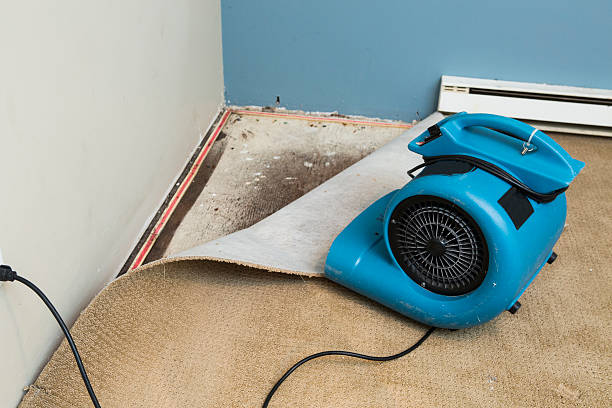 Sewage cleanup and water damage restoration in WI